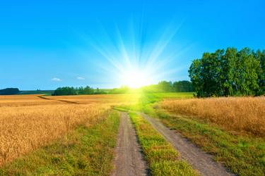 Similar image 5595805