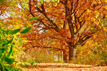 Similar image 5595998