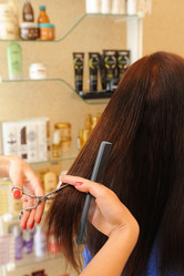 Similar image 5596042