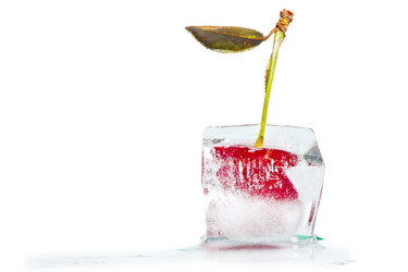 Similar image 5596054