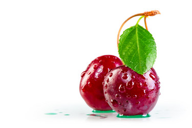 Similar image 5596063