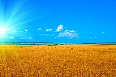 Similar image 5596137