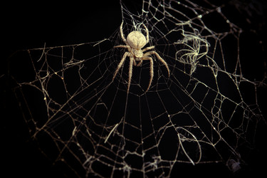 Similar image 5596187