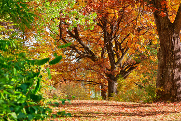 Similar image 5596306