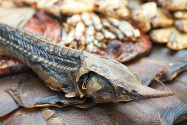 Similar image 5596351