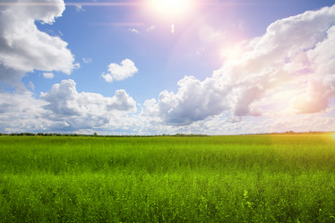 Similar image 5596384