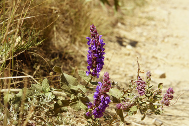 Similar image 5596387