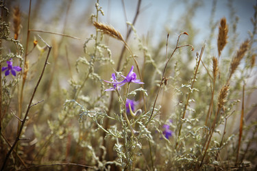 Similar image 5596407