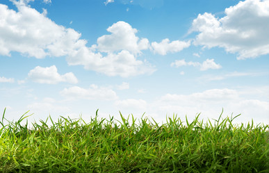 Similar image 5596411