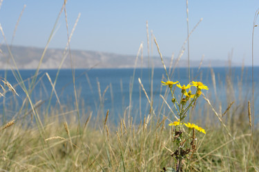 Similar image 5596510