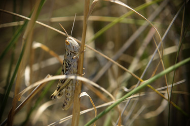 Similar image 5596511