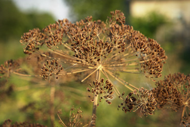 Similar image 5596521