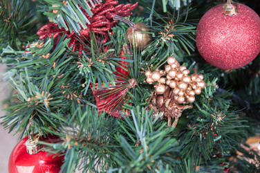 Similar image 5596522