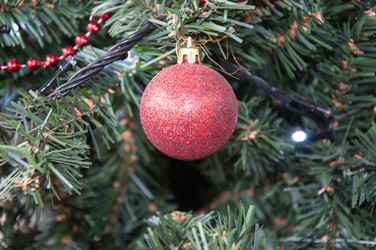 Similar image 5596523