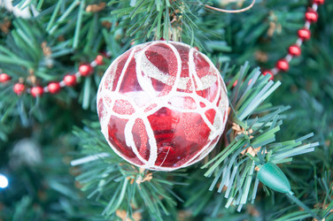 Similar image 5596525