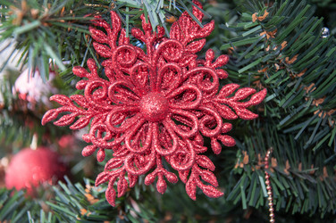 Similar image 5596526