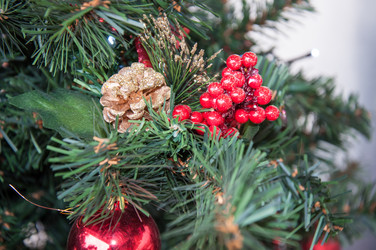 Similar image 5596552