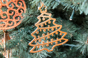 Similar image 5596553