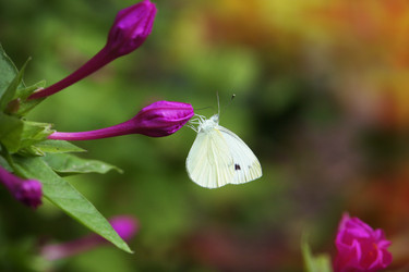 Similar image 5596557