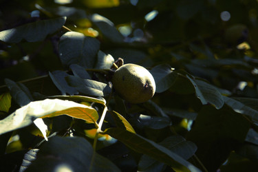 Similar image 5596560