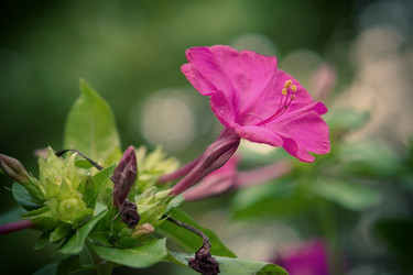 Similar image 5596561