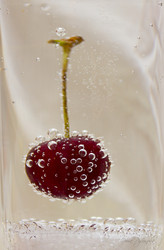 Similar image 5596619