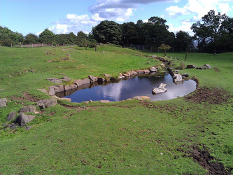 Similar image 5596622