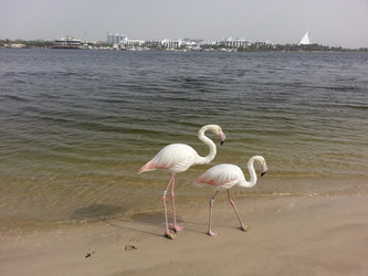 Similar image 5596623