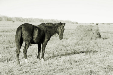 Similar image 5596631