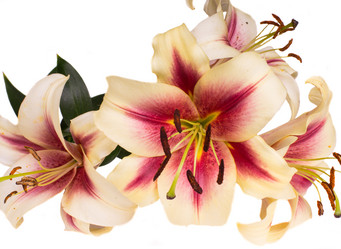 Similar image 5596632