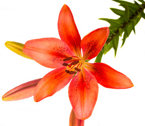 Similar image 5596633