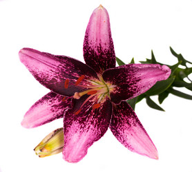 Similar image 5596634