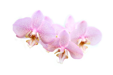 Similar image 5596673