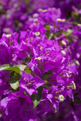 Similar image 5596677