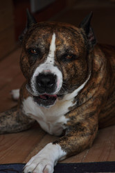 Similar image 5596679