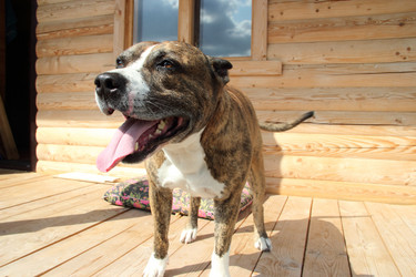 Similar image 5596685