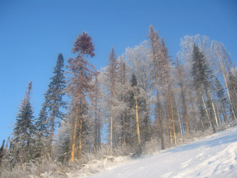 Similar image 5596758