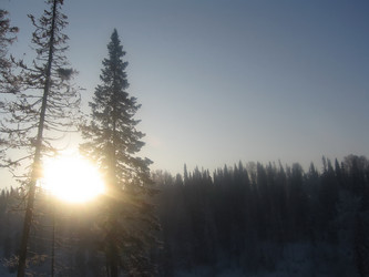 Similar image 5596762