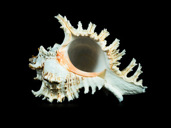 Similar image 5596770