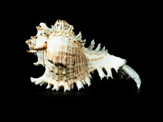 Similar image 5596771