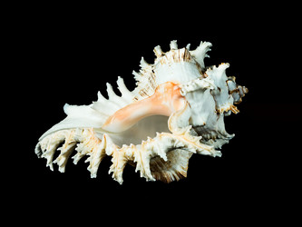 Similar image 5596772