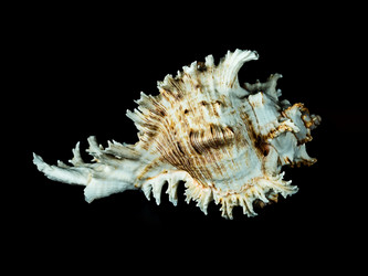 Similar image 5596773