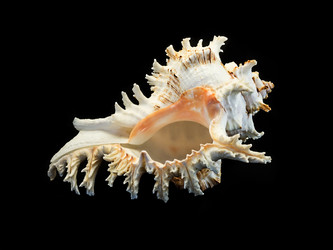 Similar image 5596774