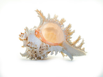 Similar image 5596775