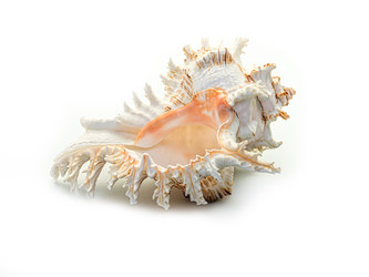 Similar image 5596777