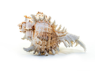 Similar image 5596779