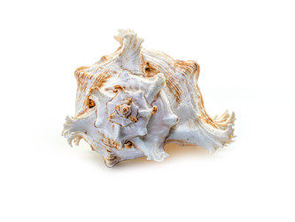 Similar image 5596780