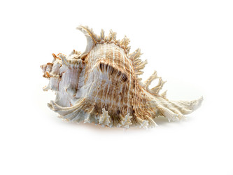 Similar image 5596782