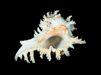 Similar image 5596783