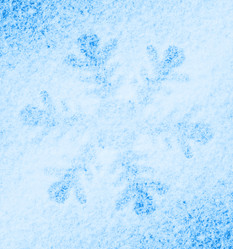 Similar image 5596953